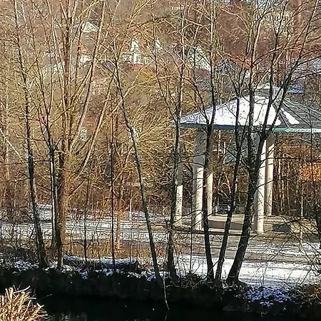 Fw Zachskorn * Реген